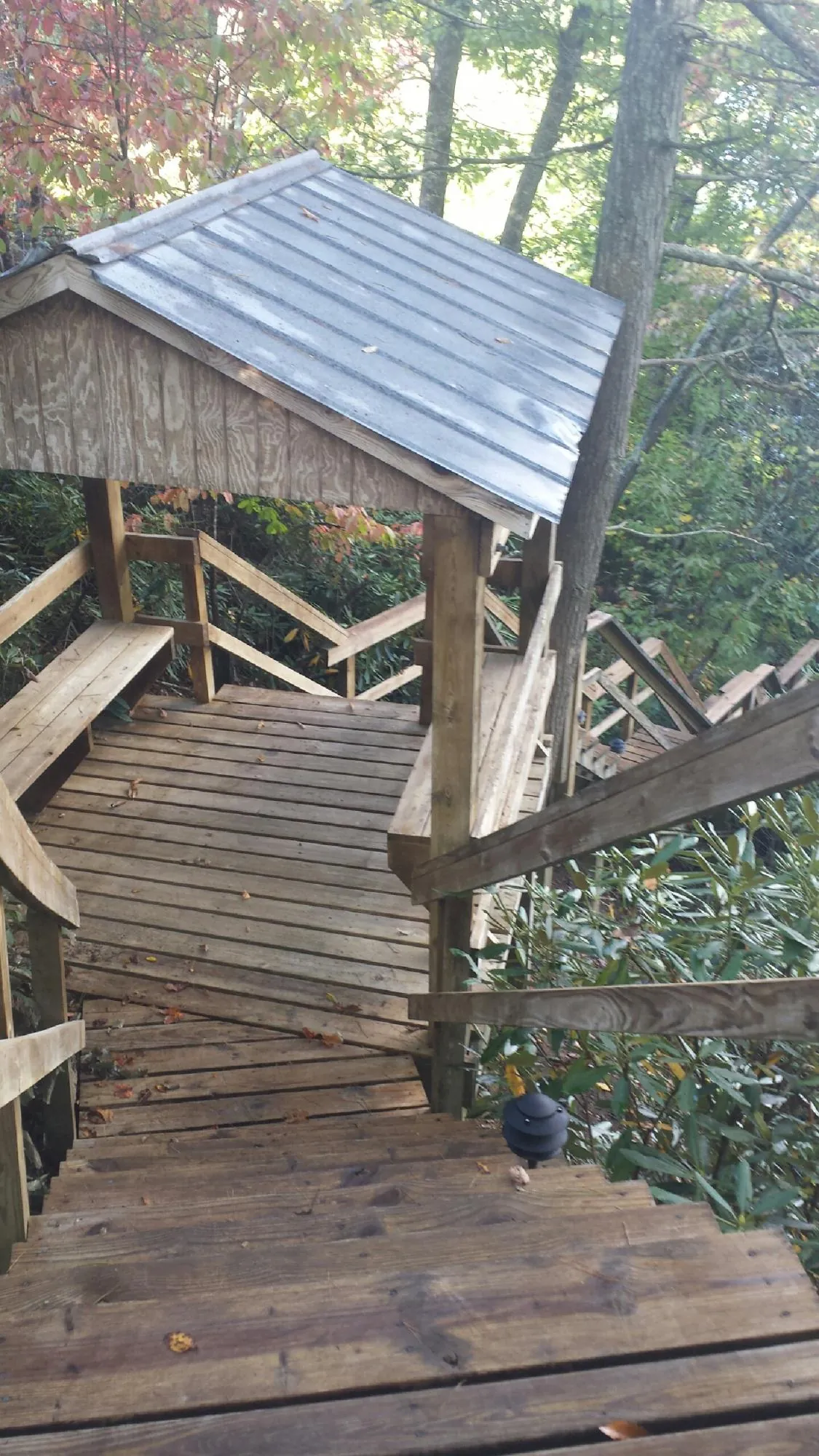 Metal roofed shelter over wooden steps on a wooded walkway — Skylight Repair & Installation work by our crew in Linkwood